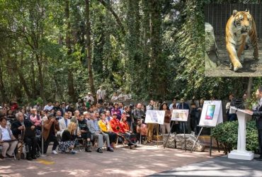 Durante la ceremonia por el centenario del Zoológico Chapultepec, el jefe de Gobierno de la Ciudad de México Martí Batres aseveró que ese espacio del pueblo es un centro de conservación de la vida silvestre y encabezó la develación de una placa y una escultura conmemorativa.