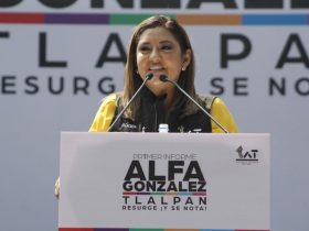 Aunque ande muy quitado de la pena por ahí, gozando de una aparente impunidad, el ex director de Servicios Urbanos de la Alcaldía Tlalpan, Sergio Galindo debería recordar aquella frase de que “a todo chango le llega su mecate”. FOTOS: Especial