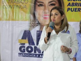 Tlalpan se convirtió en la tercera Alcaldía cuyo resultado electoral impugna la oposición, porque acusan que Morena pretendió “ganar a la mala”. FOTO: Especial