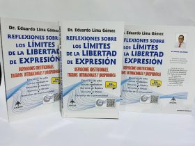 De ser así, ¿está permitido a los particulares generar discursos de odio, exhibiciones mediáticas en contra de una persona, o, presentar públicamente documentos relacionados con su vida privada?