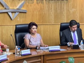 A pesar de haber llevado este fin de semana al descrédito y la ignominia al Instituto Electoral de la Ciudad de México (IECM), su presidenta, Patricia Avendaño le falló a Morena y a Claudia Sheinbaum, quien la puso en ese cargo en una negociación con Lorenzo Córdova, en 2022. FOTO: Especial