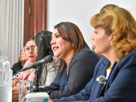 Al comparecer la tarde de este miércoles ante la Comisión de Presupuesto y Cuenta Pública del Congreso de la Ciudad de México, la alcaldesa de Tláhuac, Berenice Hernández Calderón, solicitó la aprobación de un monto presupuestal de $2,600,105,243.91 millones de peso