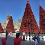 Árboles de Navidad de 10, 12 y 14 metros de altura, cubiertos por 7 mil 200 macetas de flores de nochebuena cultivadas en invernaderos y chinampas de Xochimilco