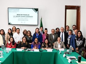 La titular de la CDHCM, Nashieli Ramírez Hernández, señaló que actualmente se cumplen las funciones de la dependencia con medidas de austeridad, como ajustes del personal en alcaldías, el fortalecimiento de la visión de trabajo territorial. FOTO: Especial