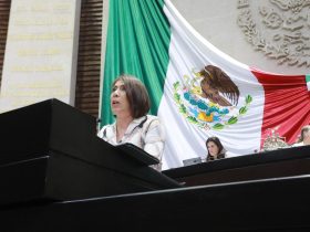 A fin de reconocer a las mujeres que inician un negocio y contribuir al empoderamiento femenino, la diputada del Partido Verde Ecologista de México (PVEM), María Luisa Mendoza Mondragón, propuso declarar el 19 de noviembre de cada año como “Día Nacional de la Mujer Emprendedora”.