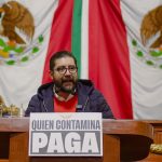 Las grillas pendencieras de su coordinador, Jesús Sesma, ya le trajeron consecuencias delicadas al Partido Verde en la Ciudad de México, lo que le repercute hacia todo el país.