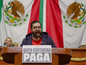 Las grillas pendencieras de su coordinador, Jesús Sesma, ya le trajeron consecuencias delicadas al Partido Verde en la Ciudad de México, lo que le repercute hacia todo el país.