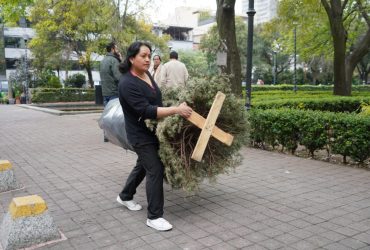 Arranca el reciclaje de árboles de navidad en MH