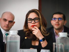 Por ello, explicó la Diputada Montes de Oca, se propone dar mayor atención a las Alcaldías Cuajimalpa de Morelos, Tlalpan, Magdalena Contreras, Álvaro Obregón, Milpa Alta y Xochimilco.