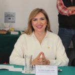 Los Comités de Evaluación de aspirantes a jueces y magistrados de la Ciudad de México deberán establecer criterios bien definidos en materia de paridad de género para calificar a los solicitantes interesados, expresó Miriam Saldaña Cháirez, legisladora del Partido del Trabajo.