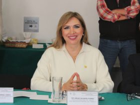 Los Comités de Evaluación de aspirantes a jueces y magistrados de la Ciudad de México deberán establecer criterios bien definidos en materia de paridad de género para calificar a los solicitantes interesados, expresó Miriam Saldaña Cháirez, legisladora del Partido del Trabajo.