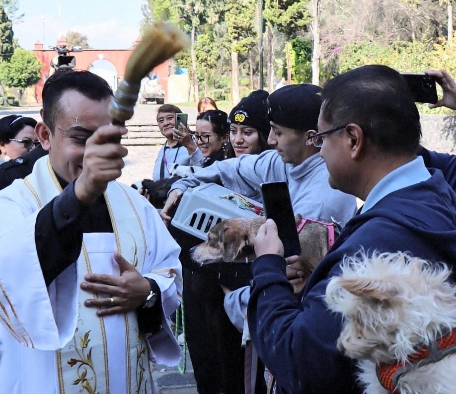 Habitantes de Xochimilco mantienen viva la tradición de llevar a bendecir a sus animales de compañía y de granja en el marco del día de San Antonio Abad, considerado como protector de los animales. FOTO: Especial