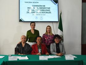 Avanza armonización constitucional de Leyes para derechos sociales