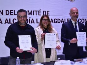 A través del Comité se busca contribuir a la competitividad económica, al desarrollo educativo y al progreso social de la Alcaldía La Magdalena Contreras, con base en el fortalecimiento de las competencias de las personas.