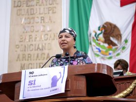 La Diputada panista Lizzette Salgado Viramontes presentó una iniciativa de reforma al artículo 179 del Código Penal del Distrito Federal, para castigar el acoso callejero y que en caso de existir, la pena se incremente en una tercera parte.