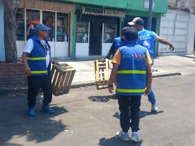 Coyoacán retira 14 toneladas de mostrencos y estorbos para liberar calles