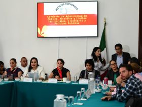 La legisladora Daniela Gicela Álvarez Camacho (PAN) preguntó por las acciones implementadas para solventar las observaciones no atendidas por la Auditoría Superior de la Federación, los mecanismos implementados para garantizar principios de legalidad, transparencia y eficiencia en futuras contrataciones y obras públicas, así como el estatus del proyecto Utopía.