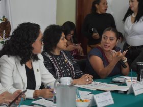 Si bien en la Alcaldía Tlalpan aún falta solucionar diversas problemáticas, hay que reconocer que la Titular de esta demarcación, Gabriela Osorio Hernández, sí destina el presupuesto público en lo que las y los habitantes verdaderamente necesitan y además transparenta su manejo, aseguró la diputada Xóchitl Bravo Espinosa.