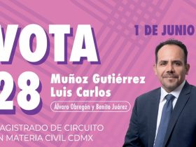 Luis Carlos Muñoz Gutiérrez, candidato a magistrado de circuito en materia civil por el Distrito Judicial 3, que comprende alcaldías Álvaro Obregón y Benito Juárez, ubicado en la boleta rosa con el número 28, dice enfático que con la elección judicial para nada se pone en riesgo la figura del amparo, que es la última instancia de los derechos humanos, de protección ante la arbitrariedad de las autoridades. FOTOS: INE / Especial