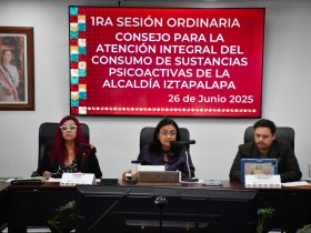 Aleida Alavez exhorta a estrechar coordinación contra las adicciones