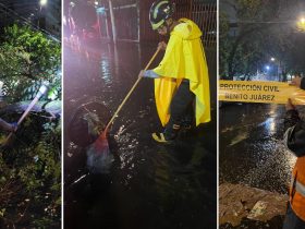Personal de la alcaldía Benito Juárez de la estrategia Blindar BJ360°, Protección Civil y Servicios Urbanos trabajan ininterrumpidamente desde tarde de ayer para atender los 28 puntos con afectaciones derivadas de las intensas lluvias en la Ciudad.