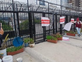 Clausura la Cuauhtémoc obra irregular en azotea de Río de la Plata 21