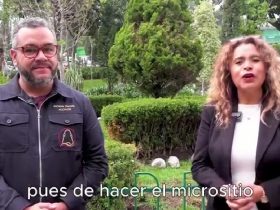 La Alcaldía La Magdalena Contreras lanzó su programa Bolsa de Trabajo, con un micrositio diseñado especialmente para el ciudadano, donde pueden encontrar vacantes de forma rápida, sencilla y sin complicaciones.