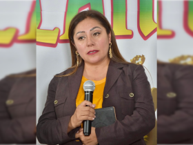 La propiedad privada en la Ciudad de México está totalmente garantizada, como lo establecen la Constitución Política Federal y la Carta Magna capitalina, por lo que es una mentira más de la bancada del PAN en el Congreso local que se pretenda expropiar y despojar de sus inmuebles a la gente, aseveró la diputada Xóchitl Bravo Espinosa.