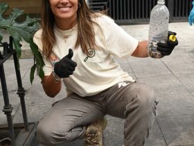 Este fin de semana, la alcaldesa Alessandra Rojo de Vega encabezó una jornada de recolección y limpieza en la vía pública, que recorrió varios kilómetros en calles de las colonias Juárez, San Rafael, Tabacalera y Cuauhtémoc, terminando en la explanada del Monumento a la Madre. FOTO: Especial