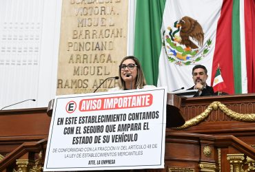 Impulsa PT reforma contra ‘estacionamientos mafiosos’, Jannette Guerrero, diputada PT. FOTO: Especial