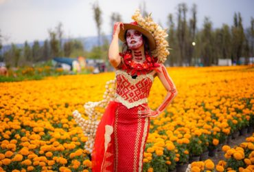 CDMX celebrará el Día de Muertos con 500 actividades