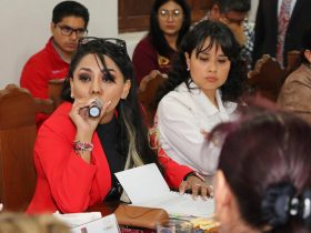 La concejala del Partido del Trabajo (PT), María Esther Rodríguez de la Serda acusó al Instituto Electoral de la Ciudad de México (IECM) de negarle las medidas cautelares ante una acusación que presentó de haber sido presuntamente víctima de violencia política contra la mujer en razón de género. FOTO: PT