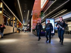 Alcalde Luis Mendoza refuerza seguridad Blindar BJ 360º en centros comerciales. FOTO: Espécial