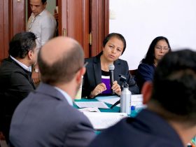 Liz Salgado destacó que, según cifras oficiales, la Ciudad de México enfrenta un déficit habitacional de hasta 700 mil viviendas, además de graves problemas estructurales en miles de unidades habitacionales. FOTO: Especial