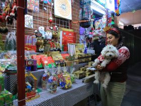 Con el objetivo de impulsar el comercio local durante la temporada decembrina, el alcalde Luis Mendoza invita a la población a visitar las romerías instaladas en los 15 mercados públicos de Benito Juárez, con las cuales, también se fomenta la convivencia familiar y se mantienen vivas las tradiciones que le dan identidad a nuestra comunidad.