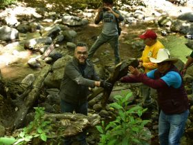 José Fernando Mercado Guaida sabe de la importancia que tiene el suelo de conservación para el presente y futuro de la Alcaldía La Magdalena Contreras –que representa el 75% de su territorio– , por lo que sin dudarlo afirma que protegerlo es una prioridad de su gobierno.