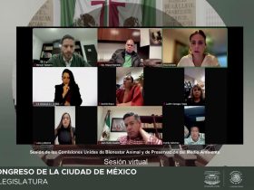 Se prevé el desarrollo de cinco foros: uno de carácter general, destinado a escuchar las diversas posturas sobre la materia, y cuatro foros temáticos orientados a la construcción de propuestas para una regulación integral.