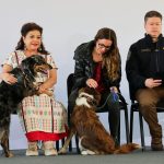 Bien que se busque evitar otros casos de maltrato animal, como el del Refugio Franciscano, pero sobre ello aquí una buena y una mala. FOTO: Especial