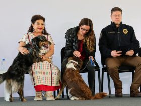 Bien que se busque evitar otros casos de maltrato animal, como el del Refugio Franciscano, pero sobre ello aquí una buena y una mala. FOTO: Especial