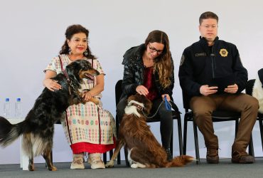 Bien que se busque evitar otros casos de maltrato animal, como el del Refugio Franciscano, pero sobre ello aquí una buena y una mala. FOTO: Especial