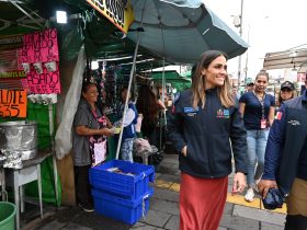 En la oposición de la CDMX empiezan a ver cada día con mayor preocupación lo que ocurre en la Alcaldía Cuauhtémoc. El panorama no es halagüeño y se tambalea la reelección de Alessandra Rojo de la Vega.