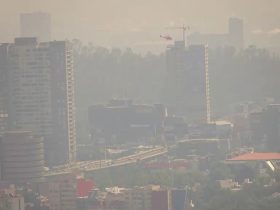 Quien sale de la CDMX tres o cuatro días, tiempo en que el cuerpo más o menos se limpia de los contaminantes, se percata de una triste realidad: al volver, apenas se abren las puertas del avión, se percibe la peste del smog, ese olor a gasolina y diésel quemado, a humo de coche de vieja tecnología de combustión. Provoca nausea y dolor de cabeza. FOTO: Cuartoscuro