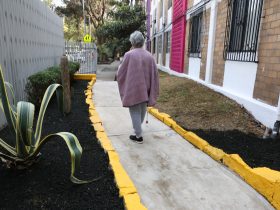 Alcaldías podrían rehabilitar áreas comunes de unidades habitacionales