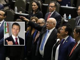 La designación de David Colmenares fue una de las últimas jugadas impulsadas por el presidente Enrique Peña. Con los votos a favor de los diputados del PRI con la abstención del PAN, el 15 de marzo de 2018 lo nombraron auditor para un periodo de 8 años. Aunque políticamente sus posibilidades de reelegirse son ínfimas, legalmente puede y se ha inscrito para ello. FOTOS: Presidencia - Cámara de Diputados