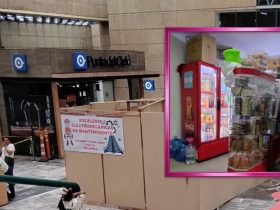 Así como en el Congreso de la Ciudad de México (antes Asamblea Legislativa) surgieron las primeras iniciativas de ley para sacar de las escuelas de educación básica los alimentos chatarra, aquí también podría surgir la primera iniciativa de Ley para erradicar de los hospitales públicos, especialmente el IMSS y el ISSSTE, la comida chatarra,