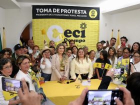 El PRD Ciudad de México no se queda atrás. Justo en la etapa en que los demás partidos políticos iniciaron ya sus procesos de organización hacia las elecciones del 2027, los perredistas capitalinos, comandados por su presidenta, Nora Arias Contreras, van avanzando ya en su reconstrucción.