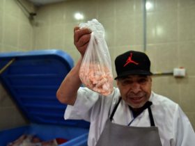 Alcaldía BJ promueve consumo en mercados públicos