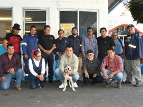 En Benito Juárez se impulsa una cultura que reconoce a los animales de compañía como seres sintientes, con derecho a una vida digna y segura.