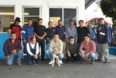 En Benito Juárez se impulsa una cultura que reconoce a los animales de compañía como seres sintientes, con derecho a una vida digna y segura.