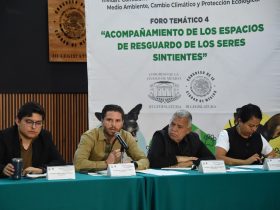 En el Congreso de la Ciudad de México se llevó a cabo el cuarto foro temático sobre la protección de los seres sintientes, de un total de cinco, cuyas opiniones y propuestas de los participantes contribuirán a la elaboración de la Ley de Albergues y Refugios de Animales capitalina.